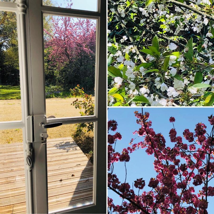 Au Rez De Jardin Hotel Cholet Exterior photo